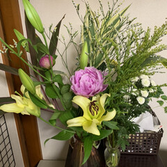 コメント返し遅くてすみません/いいねありがとうございます/生活雑貨/インテリア雑貨/雑貨/雑貨だいすき/... 今日、購入した花です。

メインの花は、…(1枚目)