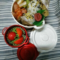 フード/おうちごはん/100均/セリア 月曜日 お弁当いるよ と聞きながら 昨日…