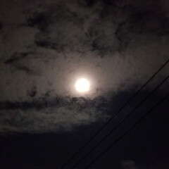 スマホ撮影/月夜/月/お月見/夜空/満月/... ようやく月を
ゆっくり眺められました🌕
…(1枚目)