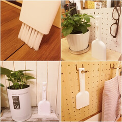 シンプルデザイン/お掃除/暮らしを楽しむ/スタンドブラシ/100円商品/ダイソー/... DAISO購入品
スタンドブラシ
10…