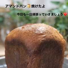 マルチーズ/今日のお弁当/朝ごパン 4月16日木曜日☁️⛅️🌧
HBタイマー…
