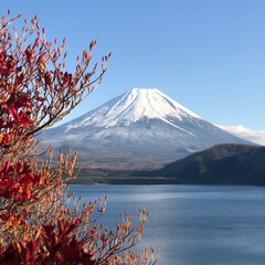 南アルプス/富士山/おでかけ/クリスマス2019 今日はお天気も良くて、富士山の近くまで行…(3枚目)