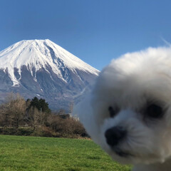 南アルプス/富士山/おでかけ/クリスマス2019 今日はお天気も良くて、富士山の近くまで行…(2枚目)