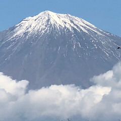 富士登山の思い出/御朱印帳は、富士山織/湧玉池の水が 綺麗/富士山/おでかけ 本日は、お天気も良く気分も良く😊
富士宮…(10枚目)