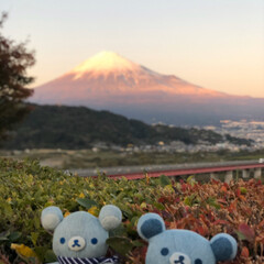 南アルプス/富士山/おでかけ/クリスマス2019 今日はお天気も良くて、富士山の近くまで行…(8枚目)