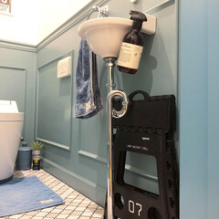オカトー LaidBack トイレマット 60×60 ライトブルー(トイレ用マット)を使ったクチコミ「我が家のトイレインテリア。
ホテルライク…」(3枚目)