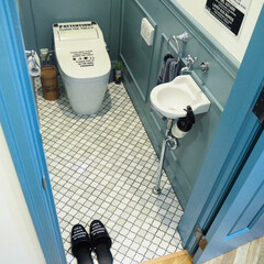 オカトー LaidBack トイレマット 60×60 ライトブルー(トイレ用マット)を使ったクチコミ「我が家のトイレインテリア。
ホテルライク…」(9枚目)