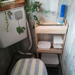 すのこDIY/トイレ/DIY/100均/インテリア/お片付け 築40年の我が家の古い小さいトイレですが…(1枚目)