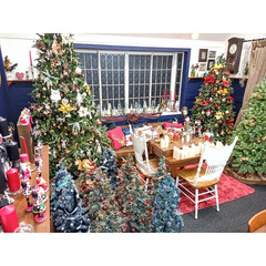 クリスマス/クリスマスツリー/飾り付け/ワークショップ 我が家のクリスマスツリーたちです。

約…(1枚目)