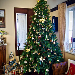 クリスマス/クリスマスツリー/セール/デコレーション 2.5mのクリスマスツリーは迫力抜群！
…(1枚目)