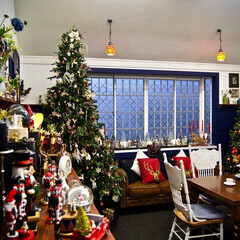 クリスマス/クリスマスツリー/飾り/くるみ割り人形/サンタクロース/クリスマス2019 英会話教室の部屋半分です。

クリスマス…(1枚目)
