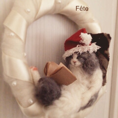 クリスマスリース/クリスマス/サンタクロース/猫/羊毛フェルト プレゼントリストを眺める猫サンタ。(1枚目)