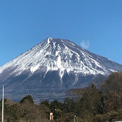 富士山/お正月/おでかけ 一月三日  富士市からの富士山(1枚目)