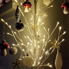 不二貿易 16652 LEDブランチツリー 120 W/スイッチ クリスマスツリー 120cm | 不二貿易(オブジェ、置き物)を使ったクチコミ「🎶ジングルベル🎶ジングルベル🎶
私にもサ…」(1枚目)