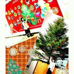 観光物産館アスパム/アスパム/もみの木/クリスマスツリー/クリスマスマーケット/クリスマス/... 今日は小学校が終わり、明日から冬休みです…(1枚目)