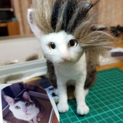 ハンドメイド 羊毛フェルト猫のフォトまとめ | LIMIA (リミア)