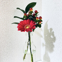 ヒペリカム/ルスカス/ガーベラ/ブルーミー ブルーミーからお花が届きました〜🤗

ガ…(1枚目)