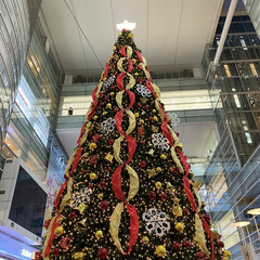駅前/クリスマスツリー お出掛け先で見つけた大きいクリスマスツリ…(1枚目)