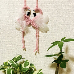 ハンドメイド/フラミンゴ/KAKAさん/メルカリ またまたKAKAさんのハンドメイド🤗💕
…