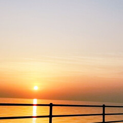 海沿い/夕日/ドライブ中/デイジー/ドナルド/おでかけ/... 和歌山県の海沿いをドライブ中のドナデジ♡…(2枚目)