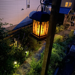 庭/ベランダ/ウッドデッキ/DIY/レトロ/アンティーク 夜の庭✨

ランタンの明かりが綺麗です😌(1枚目)