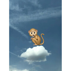 猿/雲/空 空さんの投稿していた雲がお気に入りで、キ…(2枚目)