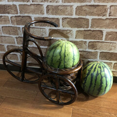 頂き物/スイカ 今日は朝から蝉の声、夏、スイカ🍉
今年は…