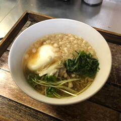 ムック/お昼ご飯/かけ蕎麦/ペット/犬 今日のお昼は、かけ蕎麦に🍲 間違え💦た…