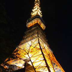 風景/旅行/旅 東京観光
初めての東京タワー、夜の東京タ…(1枚目)