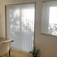 視線/縦型ブラインド/バーチカルブラインド/引っ越し/採光ブラインド/窓/... 「閉じているのに明るいです!」購入された…