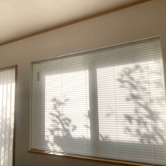 隣家/南向き/採光ブラインド/アカリナ/マンション/建売/... 「外からの視線が隠せるのに明るい!」購入…