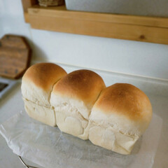 パン作り/娘っち手作り/食パン手作り/食パン 娘っちに教えてもらいながら、食パンを作り…(1枚目)