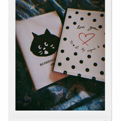 文具/手帳/雑貨 2019年の手帳を買いました♥
にゃー…