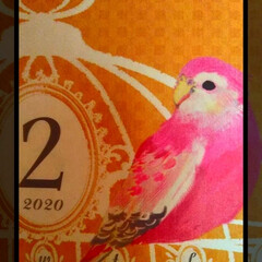 可愛い/Seria/カレンダー/bird/ひな祭り/ピンク/... 可愛いpinkの鳥ちゃん🐦発見～♡

現…(1枚目)