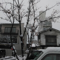 病院/ゆき/フォロー大歓迎/おでかけ/風景 今、病院です…。

松本は朝から雪⛄

…(3枚目)