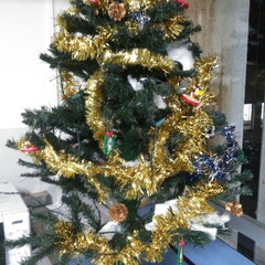 入院/クリスマスツリーセット/レトロ/クリスマス/クリスマスツリー 病院のクリスマスツリー🎅🏻を飾りました！…(1枚目)