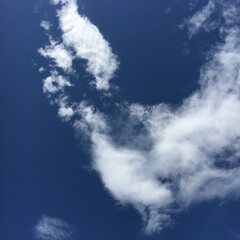 空/雲 昨日の空です。
雲の形が良くて撮影しまし…(1枚目)
