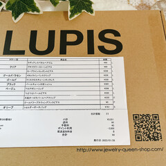 リブデザインアームウォーマー | LUPIS(アームカバー)を使ったクチコミ「LUPISモニターキャンペーン当選しまし…」(8枚目)