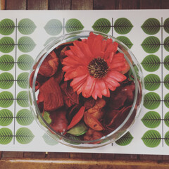 母の日/インテリア/イケア/IKEA 実家から貰ったメダカの鉢。

時折花束を…(1枚目)