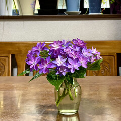 「庭の紫陽花を花瓶にさして楽しんでいます💕…」(1枚目)