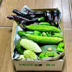 夏野菜 先程、夏野菜を箱いっぱい📦頂きました😃💕…(1枚目)