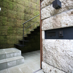 階段/エクステリア/苔/壁面緑化 エントランスアプローチ。
階段を上がると…(1枚目)