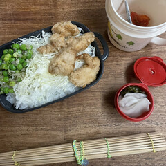 お弁当 チキンタツタ丼弁当🍱

グリーンピースの…(1枚目)