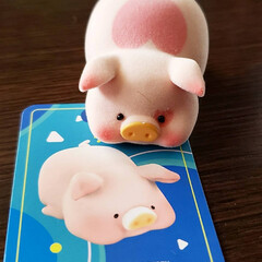 toyzeroplus/トレトイ/tretoy/子豚のlulu/フィギュア収集/フィギュア 香港で大人気の子豚のluluちゃんを買っ…(8枚目)