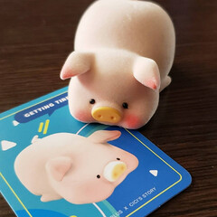 toyzeroplus/トレトイ/tretoy/子豚のlulu/フィギュア収集/フィギュア 香港で大人気の子豚のluluちゃんを買っ…(7枚目)