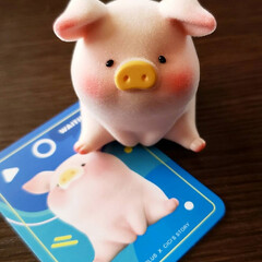 toyzeroplus/トレトイ/tretoy/子豚のlulu/フィギュア収集/フィギュア 香港で大人気の子豚のluluちゃんを買っ…(5枚目)