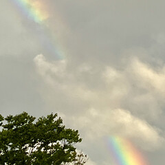 Lucky　rainbow/HappyHappy ɢᴏᴏᴅ ᴇᴠᴇɴɪɴɢ .‎˖٭

w…(2枚目)