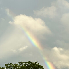 Lucky　rainbow/HappyHappy ɢᴏᴏᴅ ᴇᴠᴇɴɪɴɢ .‎˖٭

w…(1枚目)