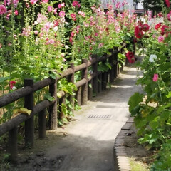 散歩道 たまに行く散歩道水辺公園❗️🌺
花の名前…(2枚目)