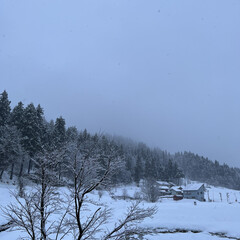 雪景色/風景/雪 降り続く雪❄𓂃𓈒(2枚目)